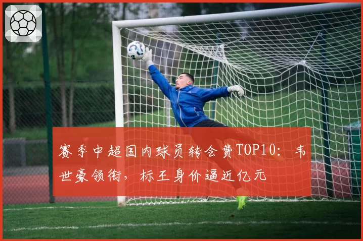 赛季中超国内球员转会费TOP10:韦世豪领衔,标王身价逼近亿元