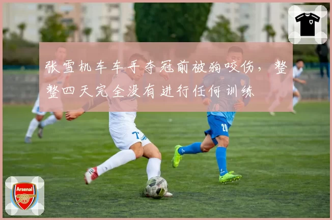 张雪机车车手夺冠前被狗咬伤,整整四天完全没有进行任何训练